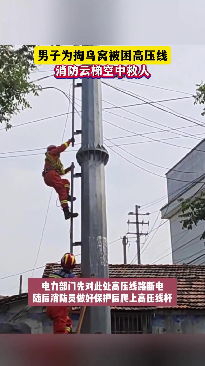 男子为掏鸟窝被困高压线，消防云梯空中救人
