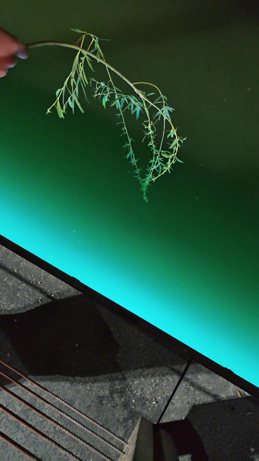 不是哥們，你姜太公啊？這樣都能上魚...