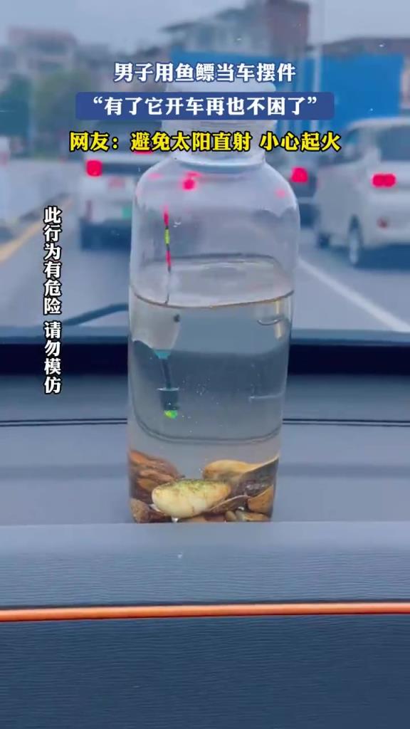 男子用鱼鳔当车摆件，“有了它开车再也不困了”！