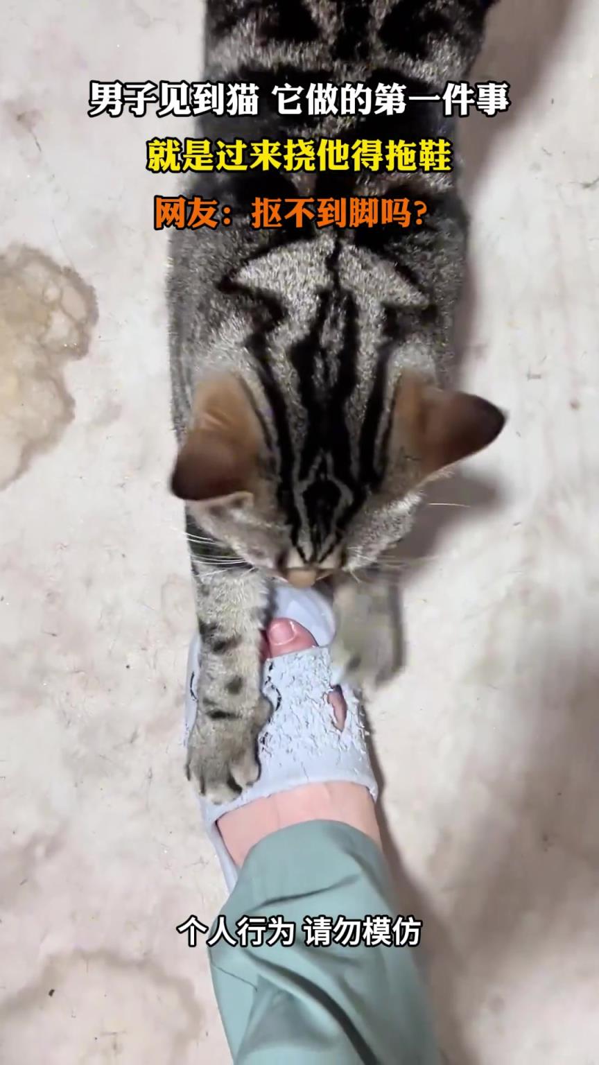 男子见到猫，它做的第一件事，就是过来挠他得拖鞋