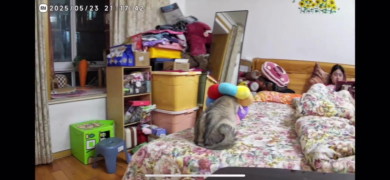 猫要吐了，女生急的直接拿平板接！！