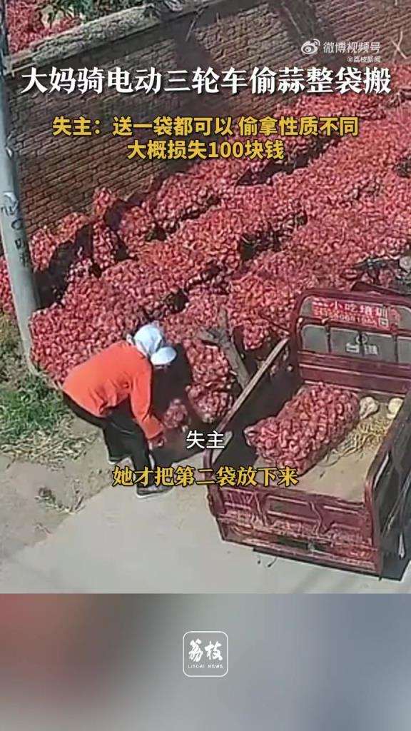 女子路边偷蒜整袋往车上搬