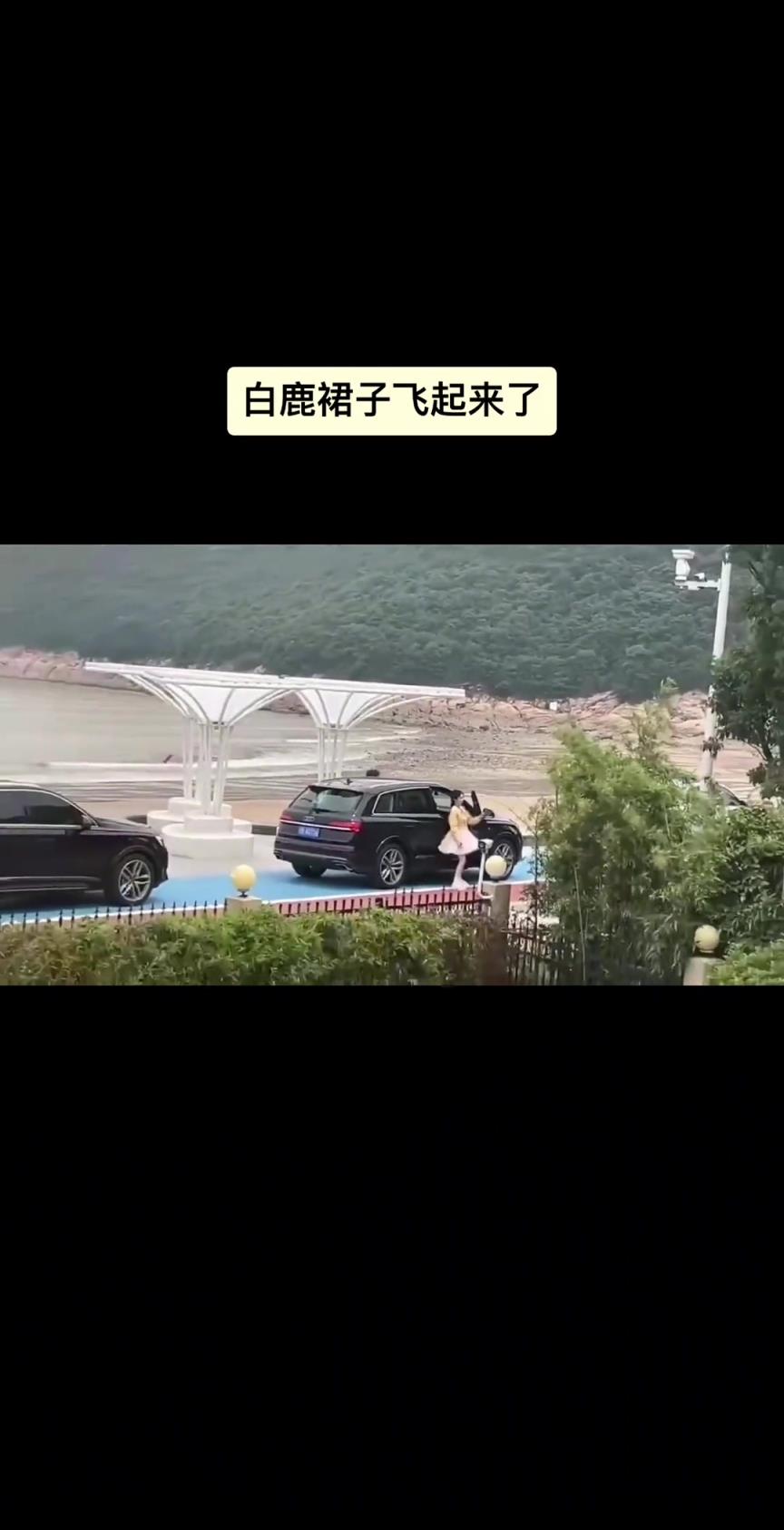 太巧了，突然拍到白鹿的裙子飞起来了！今天风太大...