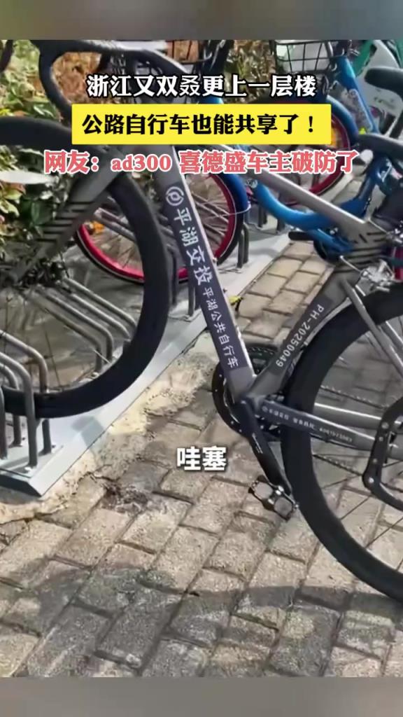 浙江又雙叒next level，公路自行車也能共享了！