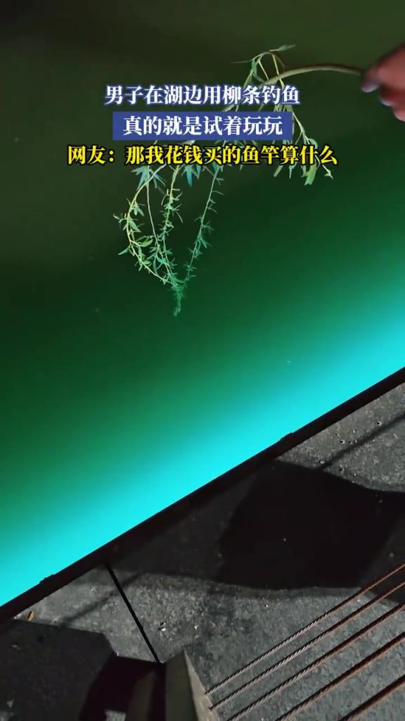 男子在湖邊用柳條釣魚