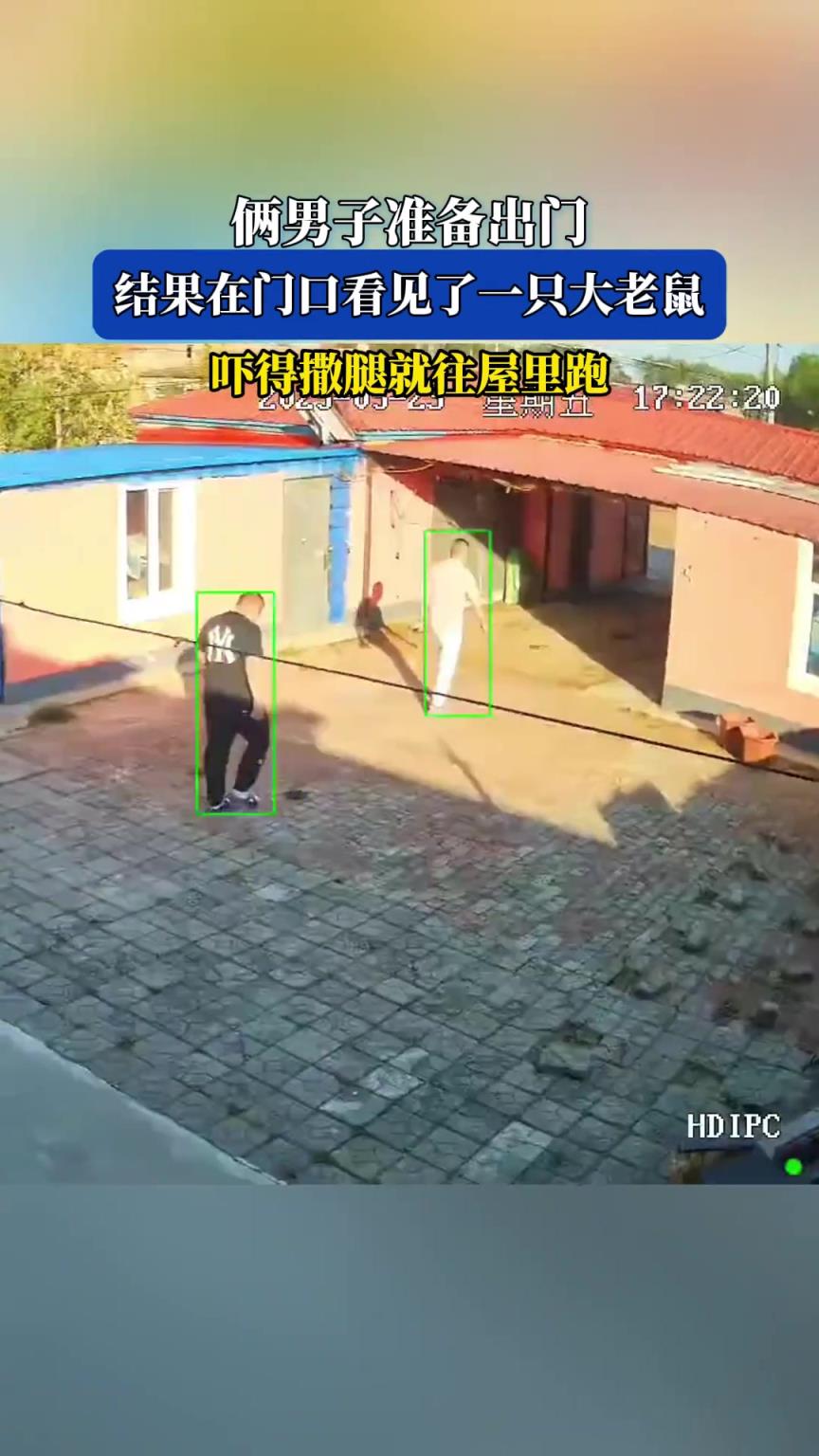 俩男子准备出门，结果在门口看见了一只大老鼠，吓得撒腿就往屋里