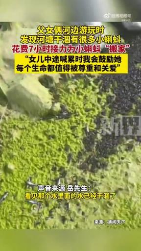父女俩河边游玩时发现河塘干涸有很多小蝌蚪