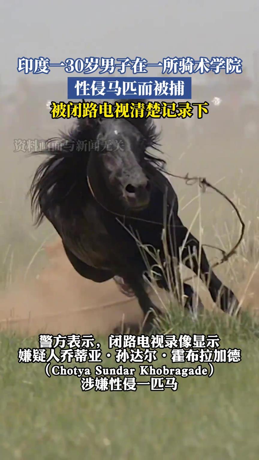 印度一30岁男子在一所骑术学院，性侵马匹而被捕