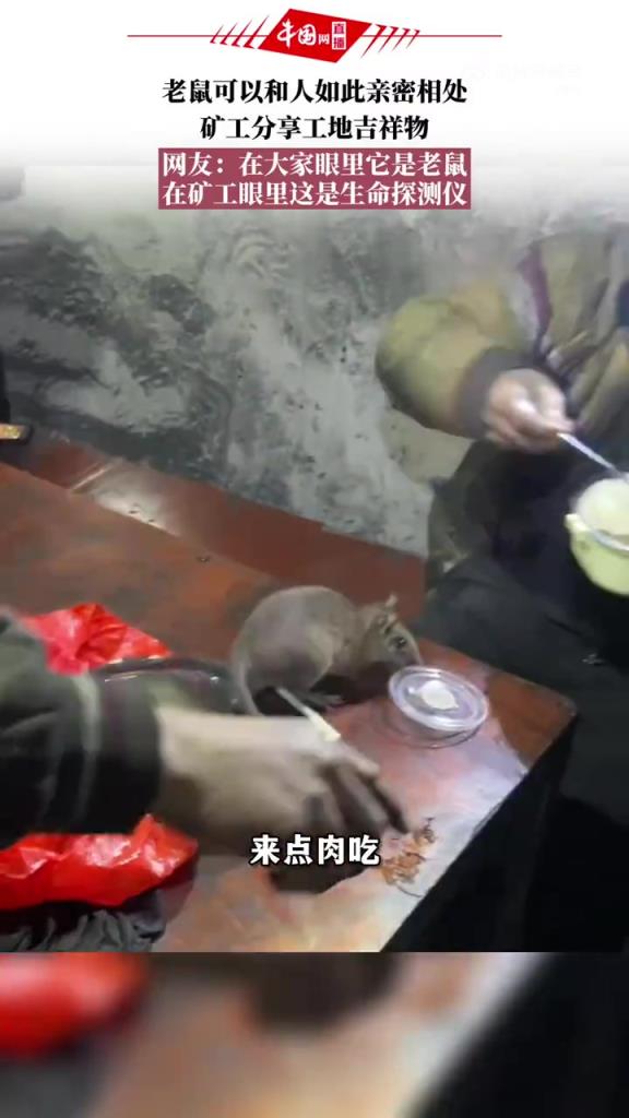 贵州矿工与老鼠共生，网友：井下生命探测仪的特殊意义