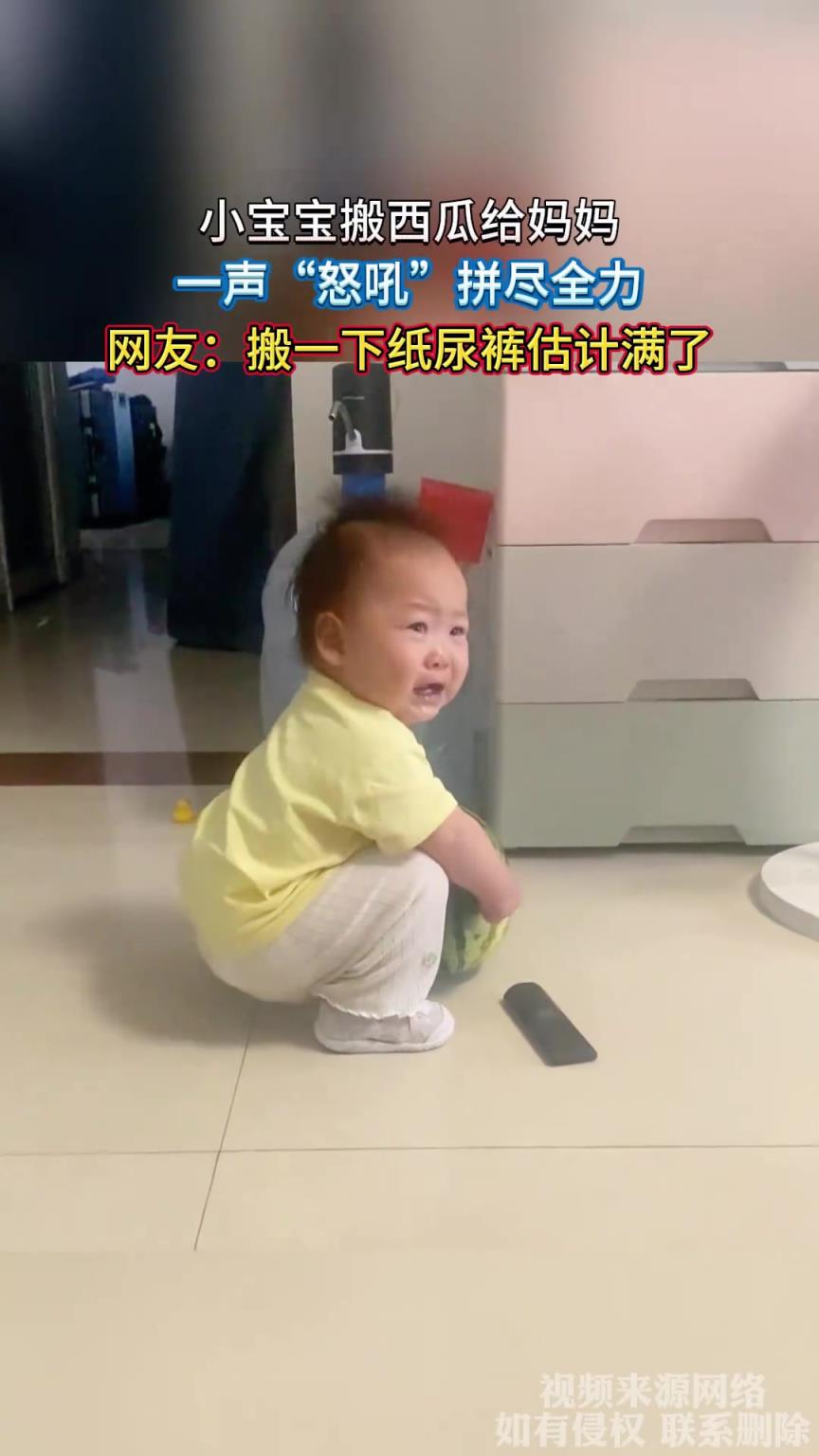 小寶寶搬西瓜給媽媽，一聲怒吼拼盡全力，搬一下紙尿褲估計滿了