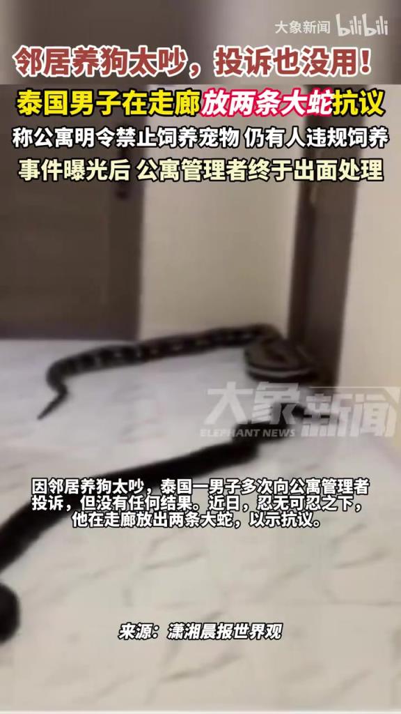 因鄰居養(yǎng)狗太吵，泰國一男子在走廊放出兩條大蛇