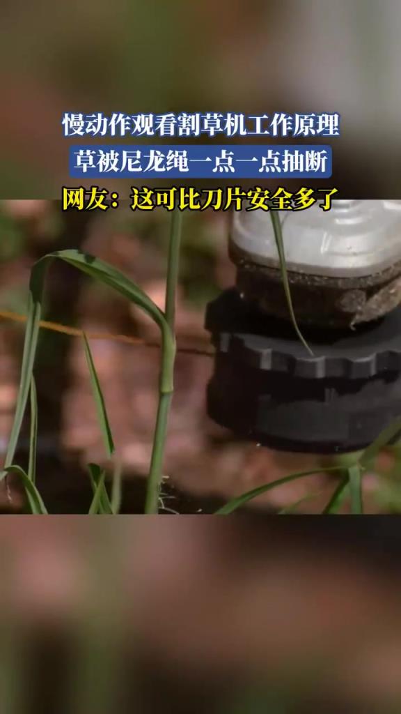 割草机尼龙绳抽断草慢动作曝光，网友：原来不是切是抽
