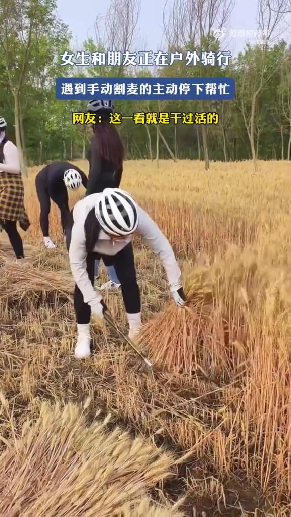 女生和朋友正在戶外騎行，遇到手動(dòng)割麥的主動(dòng)停下幫忙