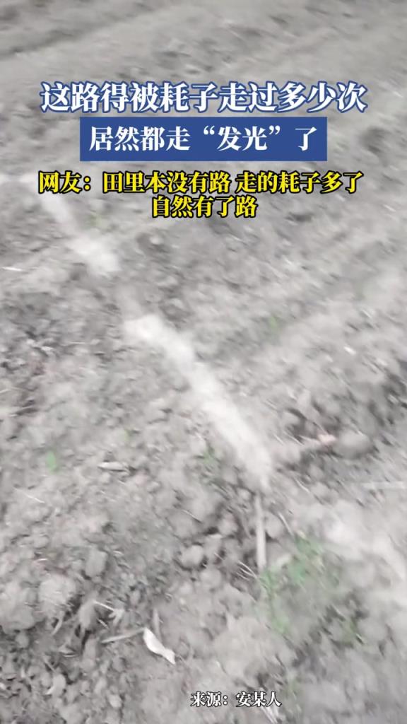 這路得被耗子走過多少次?居然都走“發(fā)光”了!!!