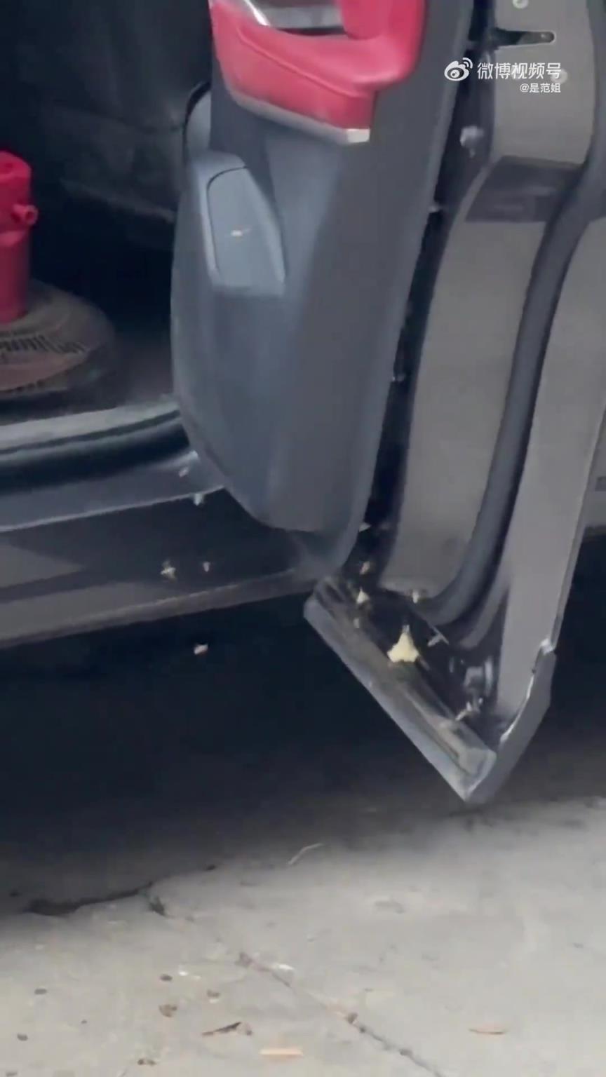 車主駕車途中遭蜜蜂蜇，驚險一幕引人關注