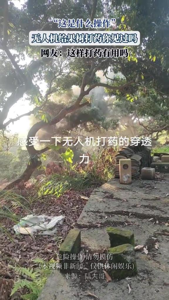 這是什么操作 無人機給果樹打藥你見過嗎