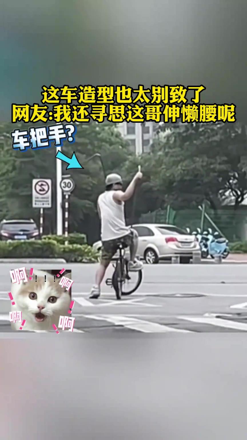 这车造型也太别致了，网友；我还寻思这哥伸懒腰呢