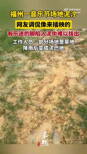 音乐节场地泥泞网友调侃像来插秧的