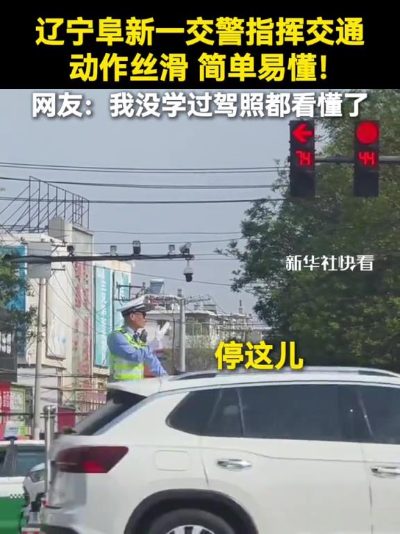 交警指挥交通，动作丝滑、简单易懂！