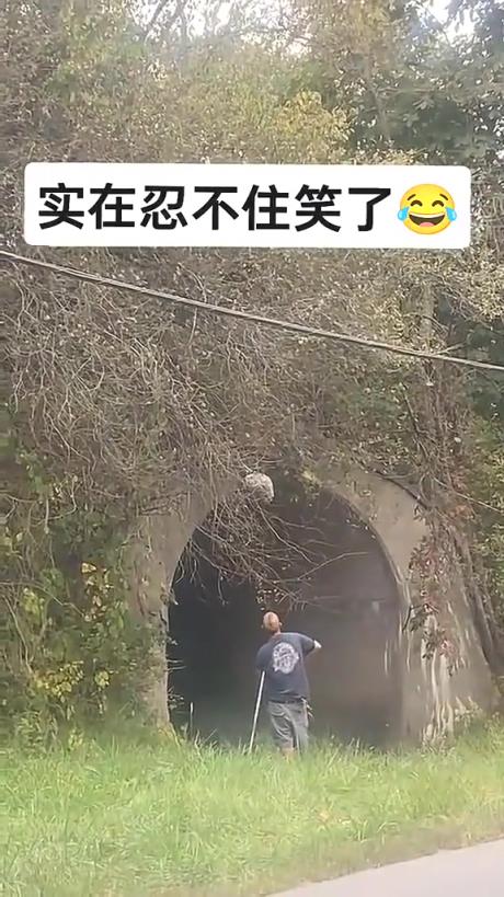 他平时就这么勇敢吗