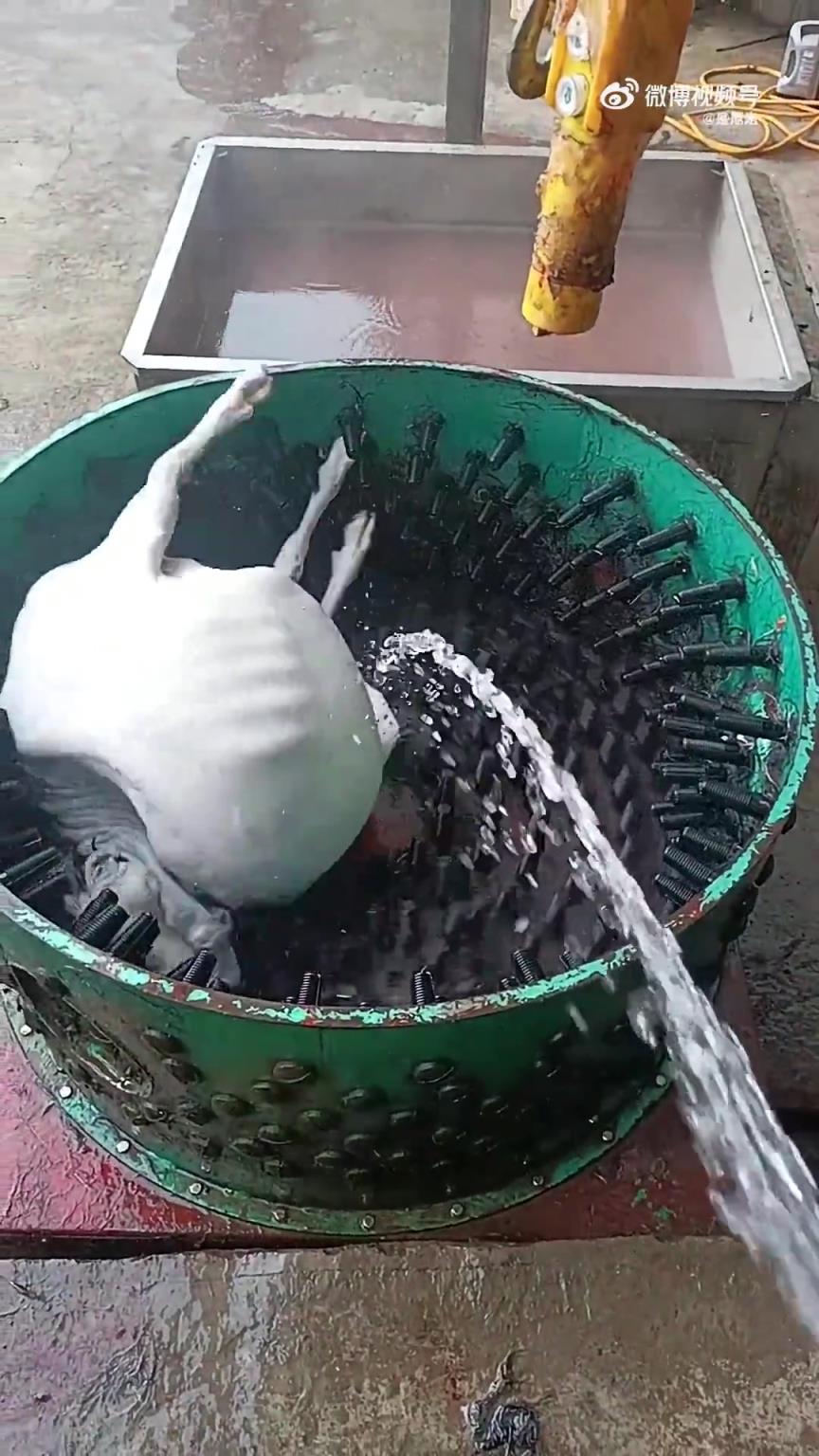 揭秘脫毛工序的具體操作