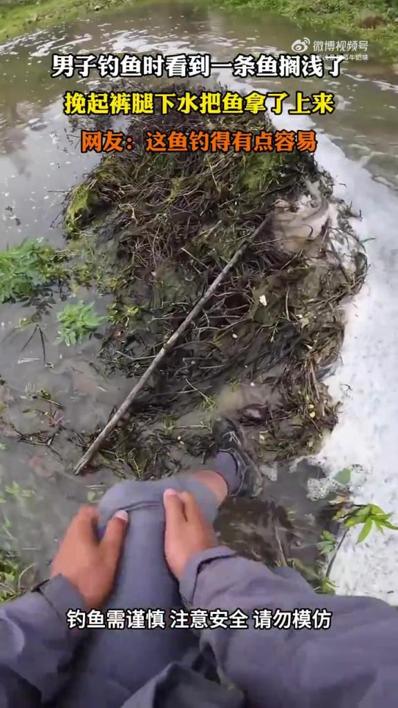 男子釣魚時(shí)看到一條魚擱淺了，挽起褲腿下水把魚拿了上來(lái)
