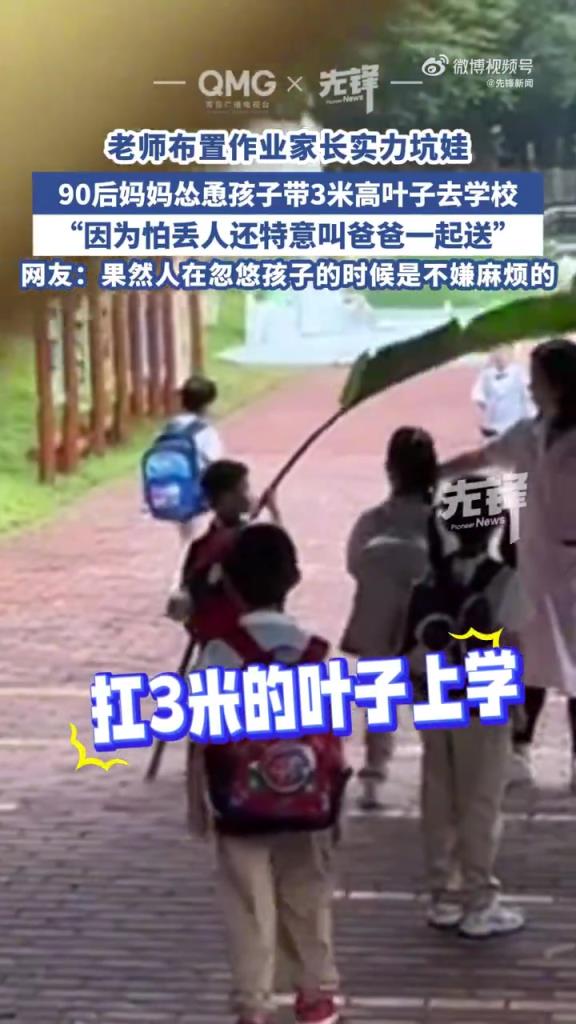 萌娃举3米高叶子去学校回头率爆表