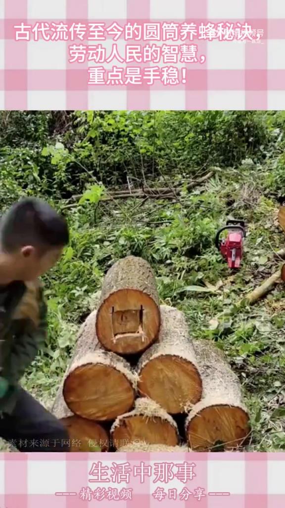 古代圆筒养蜂法流传至今，手稳心细尽显劳动智慧