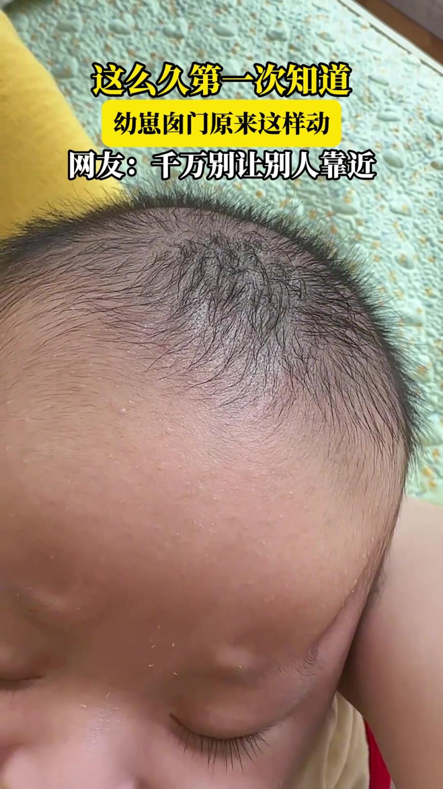 这么久第一次知道，幼崽囱门原来这样动，网友：千万别让别人靠近