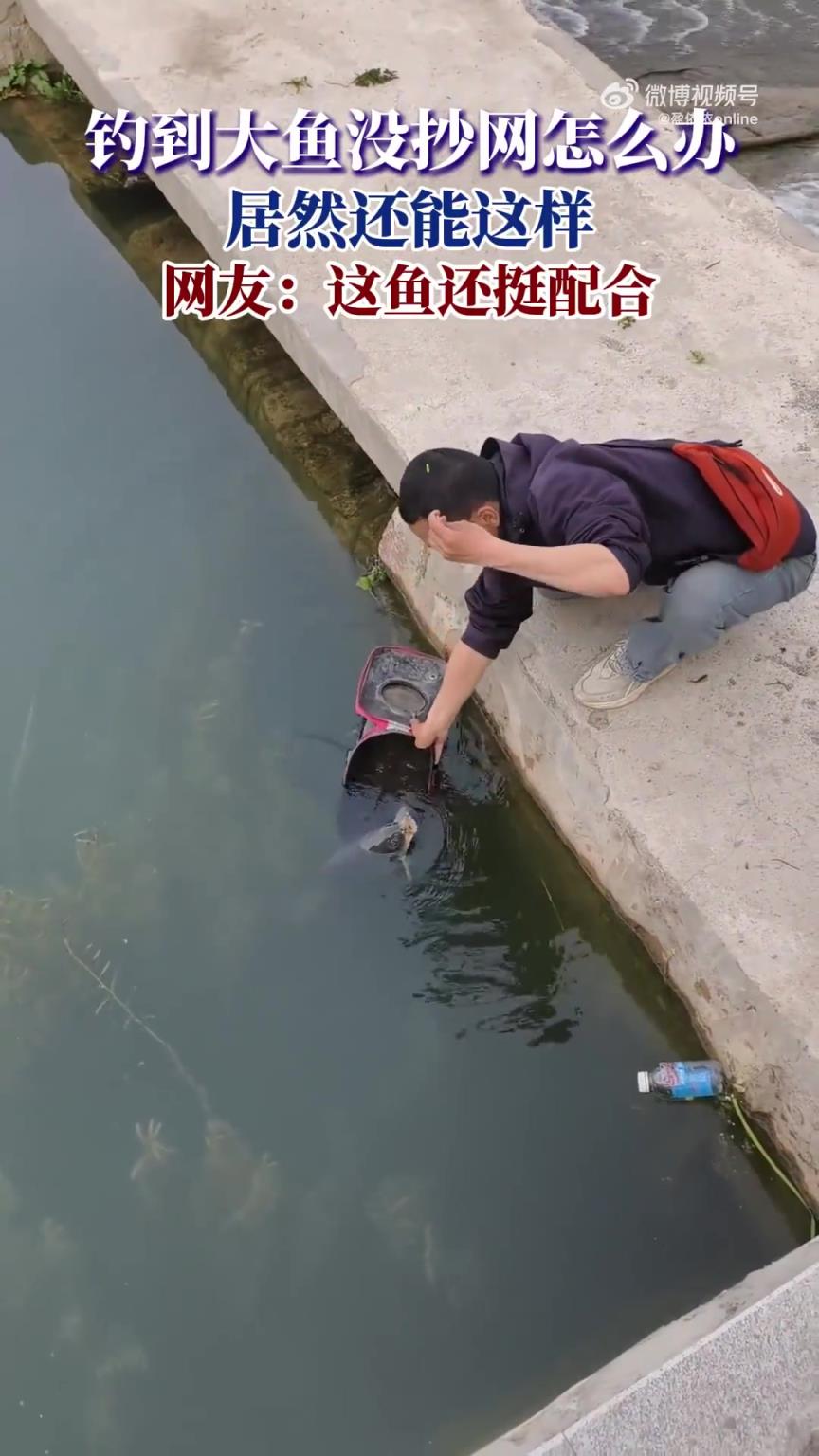 釣到大魚沒抄網(wǎng)怎么辦，居然還能這樣，網(wǎng)友：這魚還挺配合!
