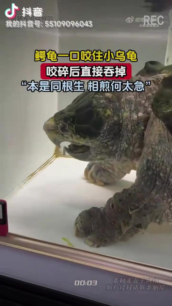 青春没有售价,同事有入口即化