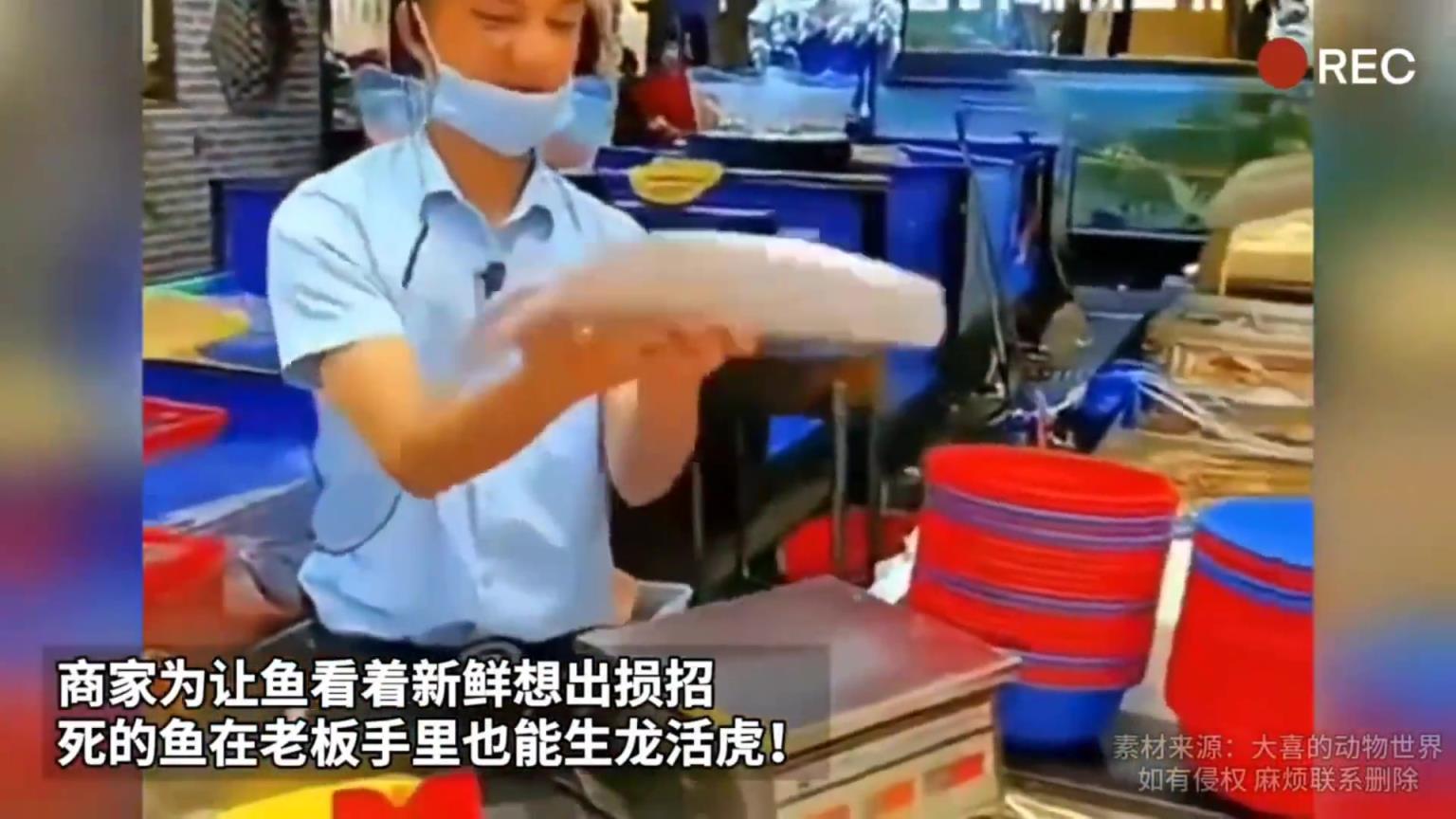 這店家是怎么做到的？！