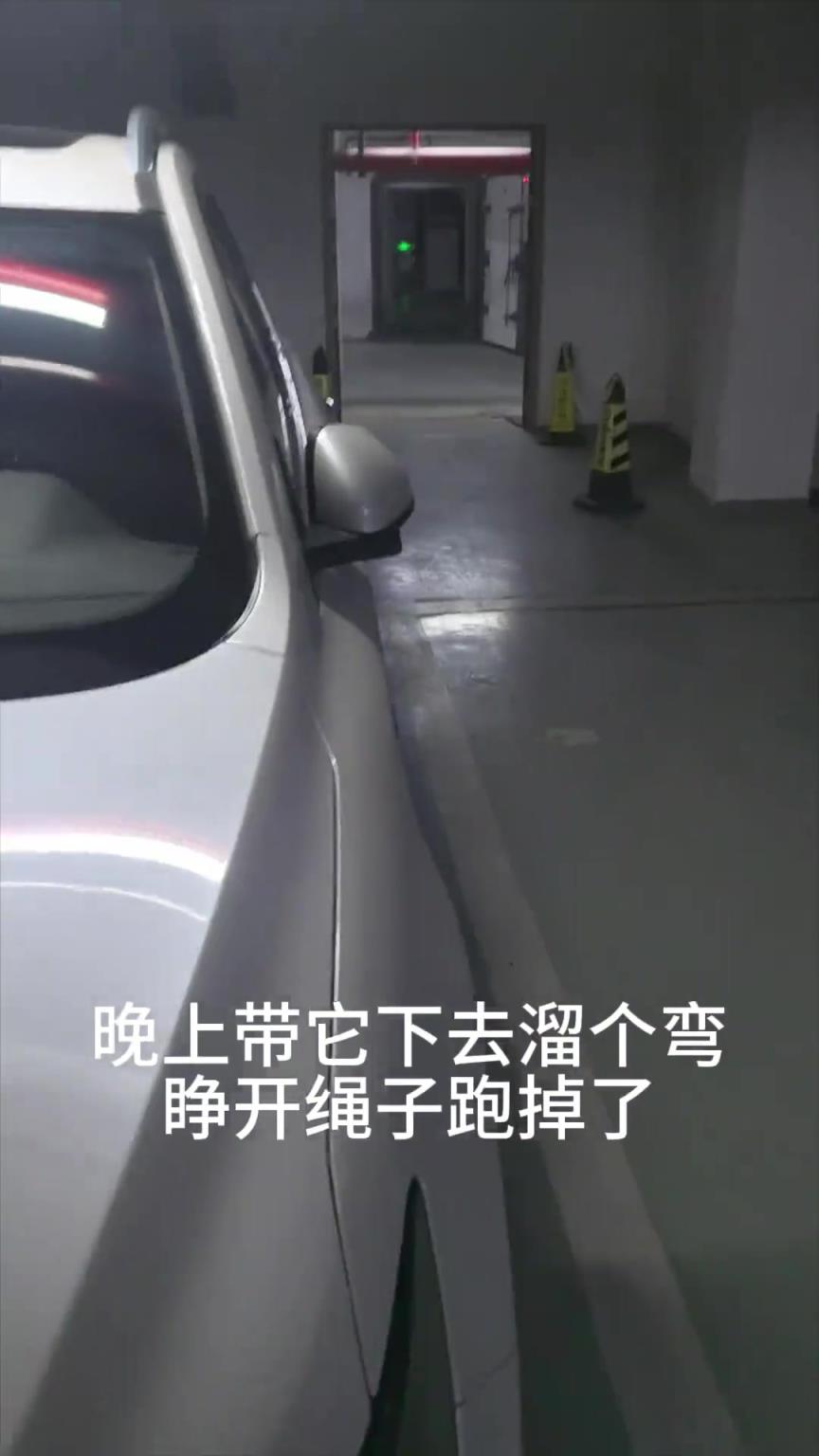 你倆這是誰溜誰