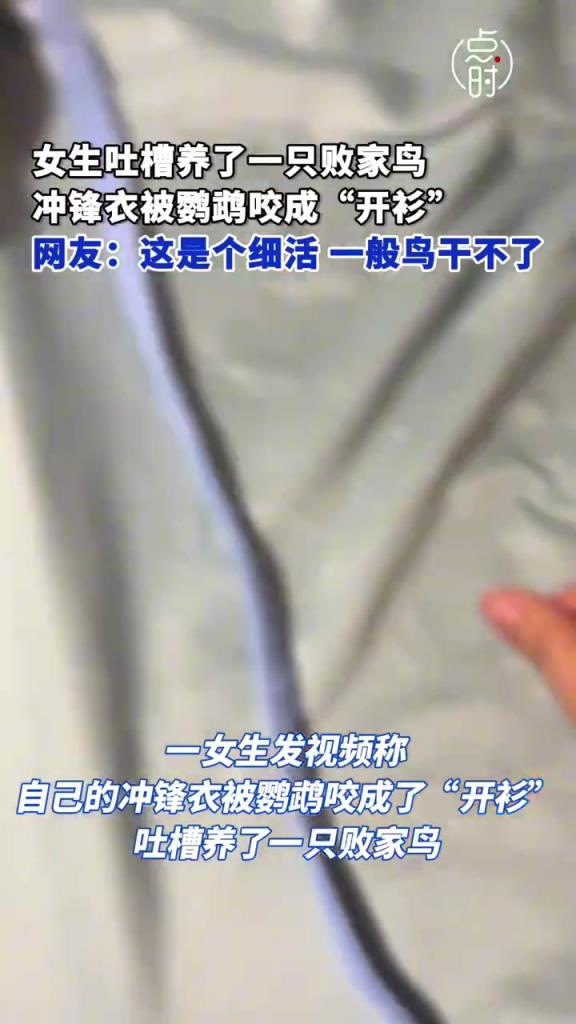 女生沖鋒衣被鸚鵡咬成開(kāi)衫