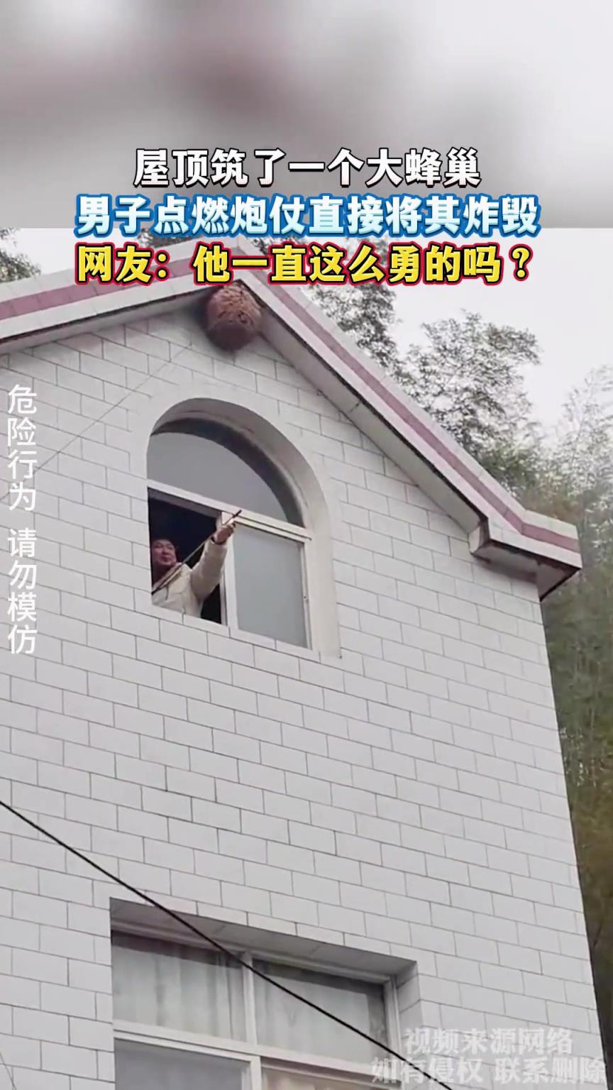 屋顶筑了一个大蜂巢，男子点燃炮仗直接将其炸毁