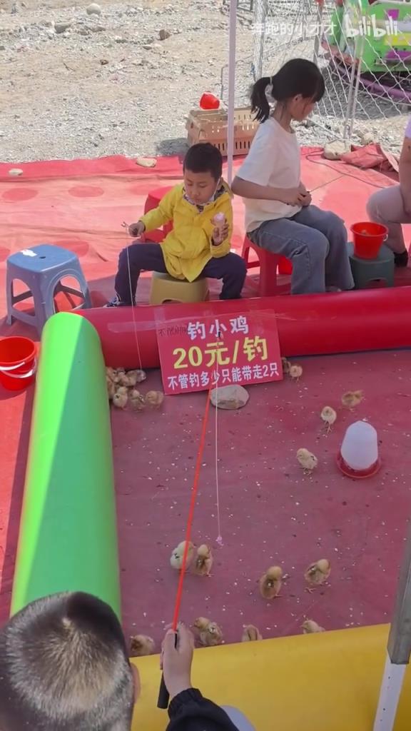 這可不是坑貨小攤 而是20元高性價(jià)比小登控制所