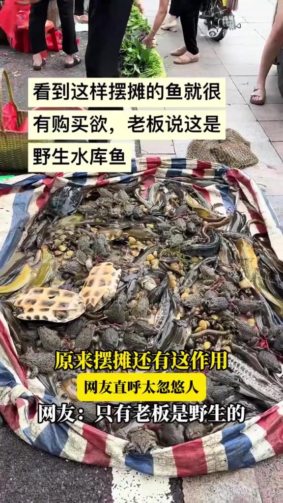 原来摆摊还有这作用，网友直呼太忽悠人