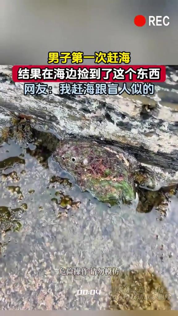 男子第一次趕海，結(jié)果在海邊撿到了這個東西