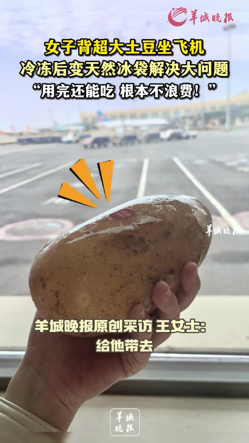 女子背超大土豆坐飛機(jī) 冷凍后變天然冰袋解決大問題