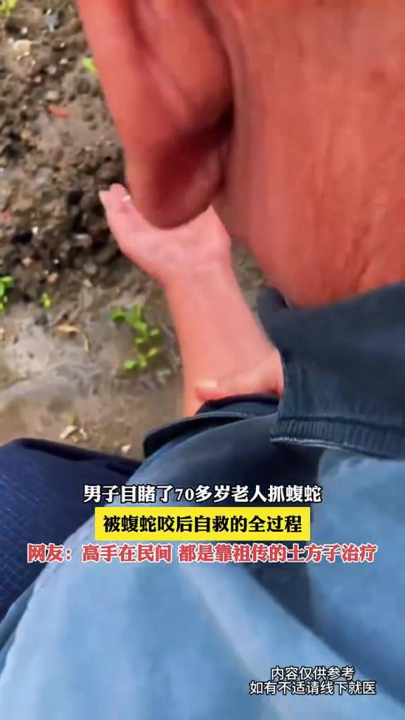 男子目睹了70多歲老人抓蝮蛇，被蝮蛇咬后自救的全過(guò)程