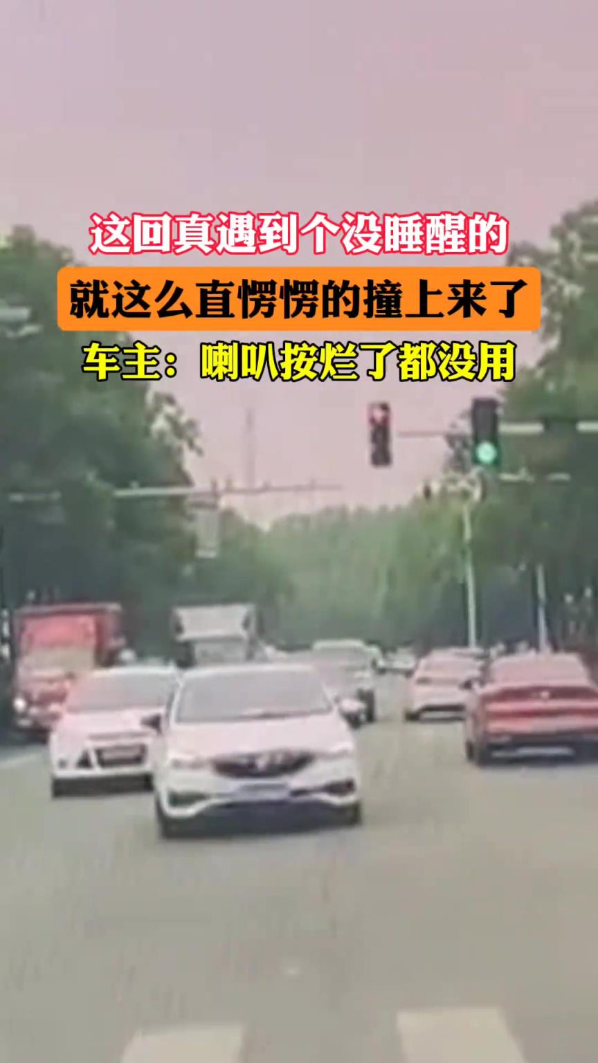 这回是真遇到个没睡醒的，就这么直愣愣的撞上来了！
