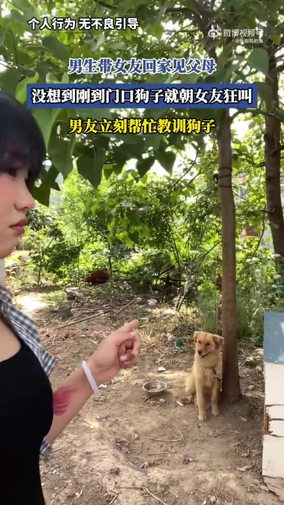 男生帶女友回家遭狗子驅(qū)趕，網(wǎng)友：毛孩子是考官
