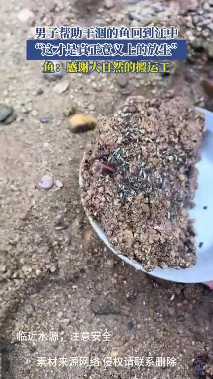 這才是真正意義上的放生