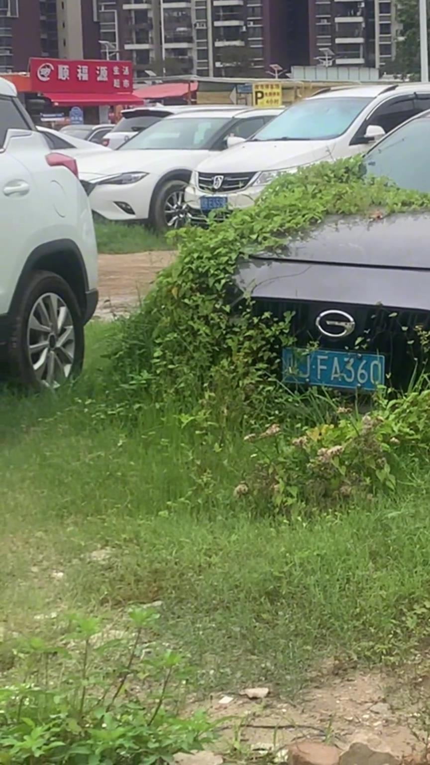 車停了一年多都長草了，兄弟你還好嗎？
