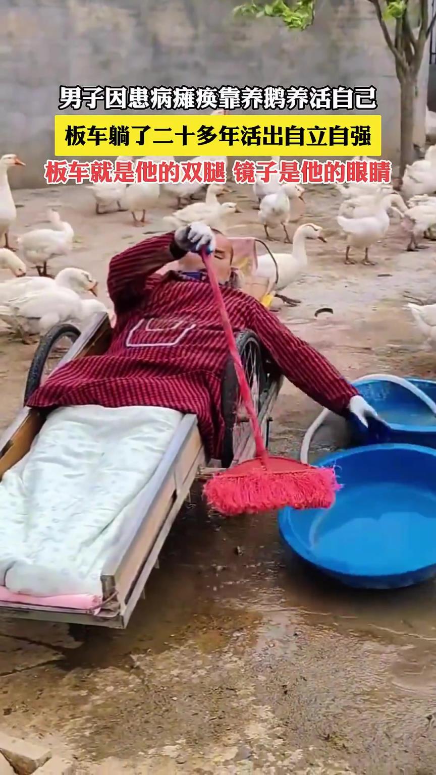 男子因患病癱瘓靠養(yǎng)鵝養(yǎng)活自己，板車躺了二十多年活出自立自強。