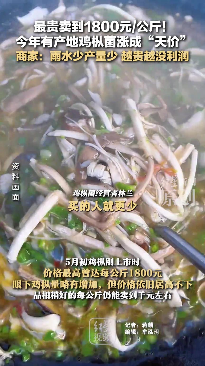 最貴賣到1800元/公斤！今年有產(chǎn)地雞樅菌漲成“天價(jià)”
