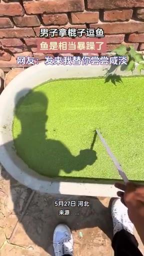 男子拿棍子逗魚，魚是相當(dāng)暴躁了