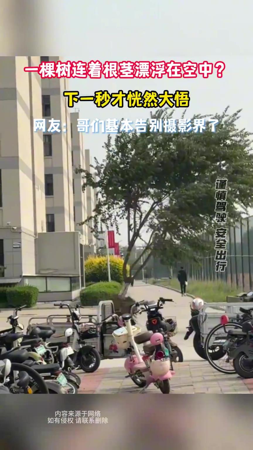 一棵树连着根茎漂浮在空中？下一秒才恍然大悟！