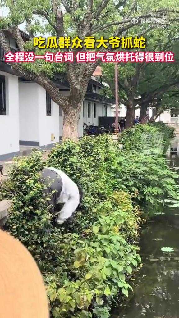 吃瓜群眾看大爺抓蛇：全程沒有一句臺詞