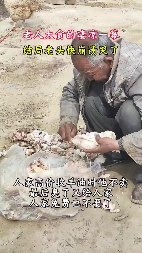 老人太贪的凄凉一幕，结局老头快崩溃哭了